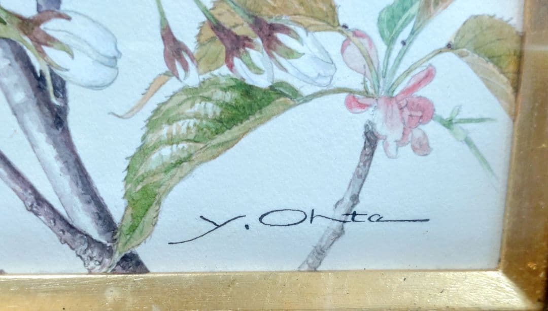 太田洋愛　ボタニカルアート第一人者の原画F3号