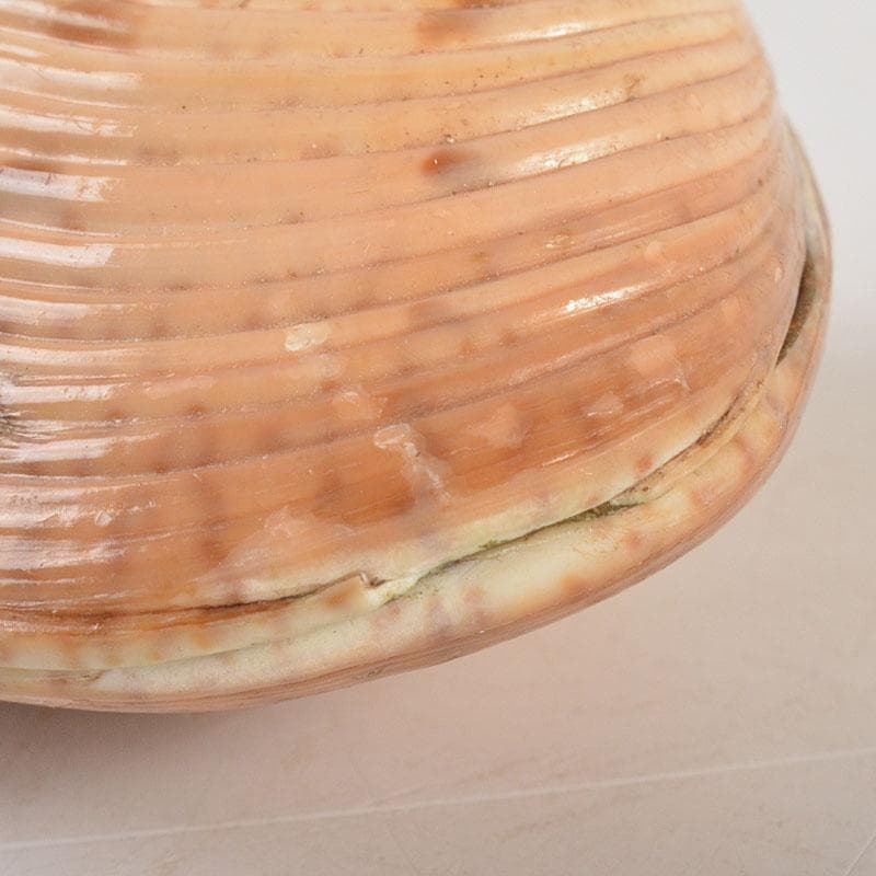 茶道具　正孝作　御所車絵　貝合わせ香合　堀内宗完(兼中斎)極め箱　C　6739