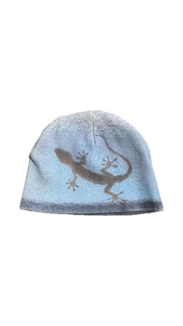 shury labyrins ビーニー