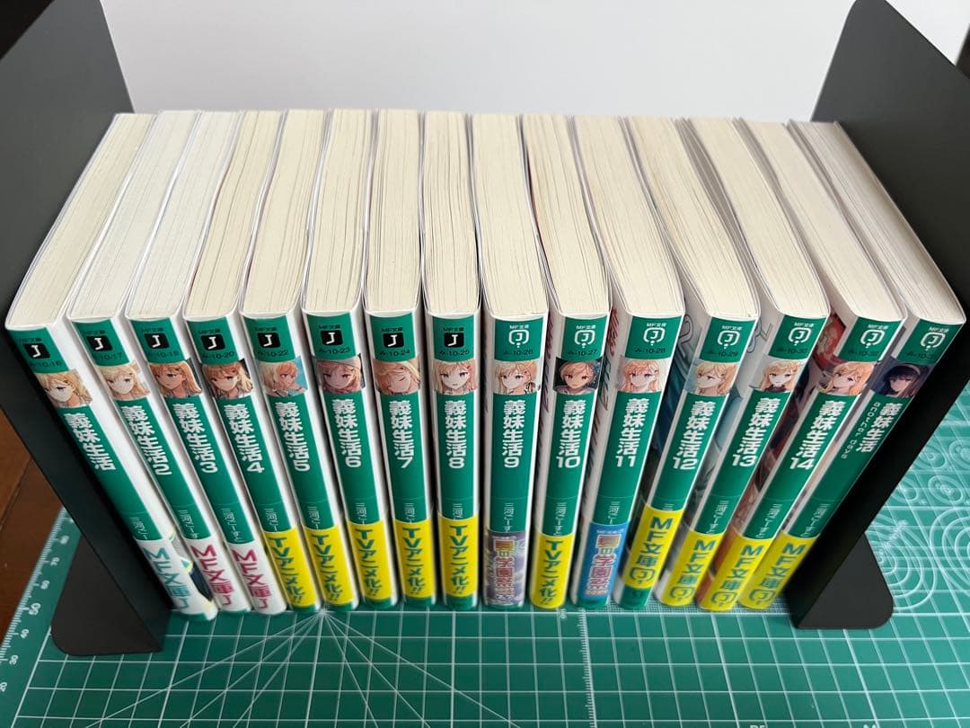 義姉生活 全巻セット