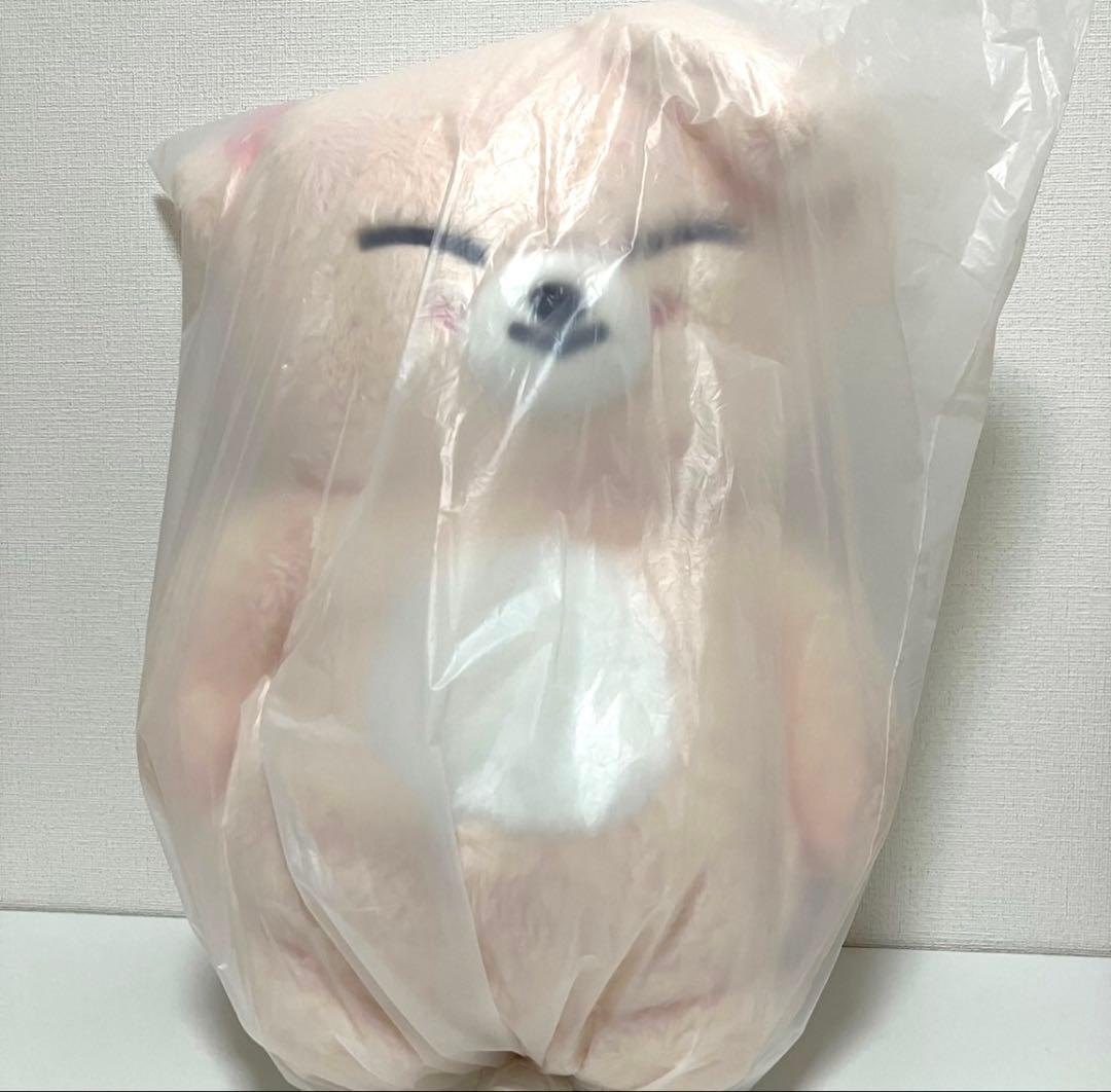 Stray Kids SKZOO PLUSH テディベア Ver.