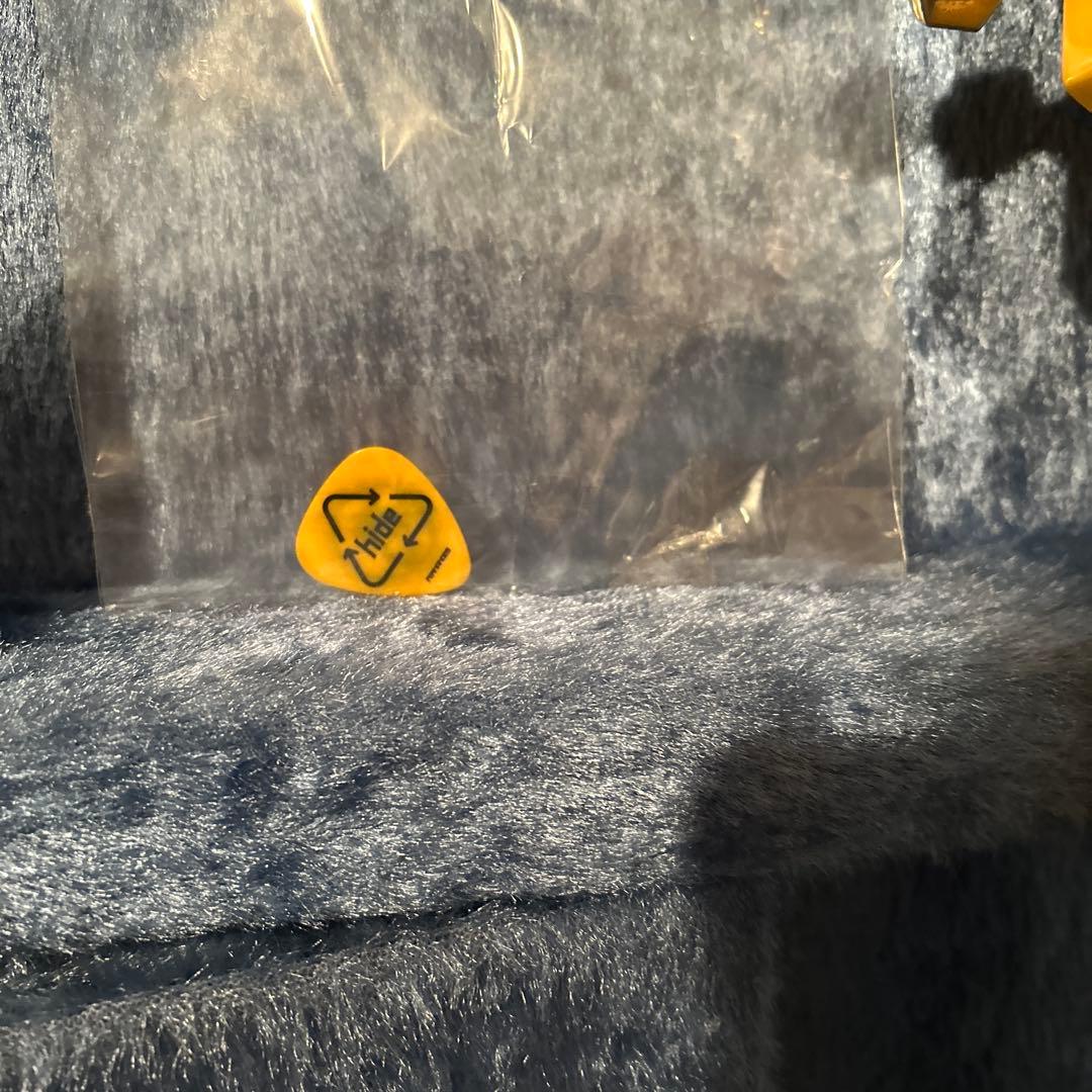 Burny エレキギター ハート柄 ケース付き+ エリクサーギター弦付