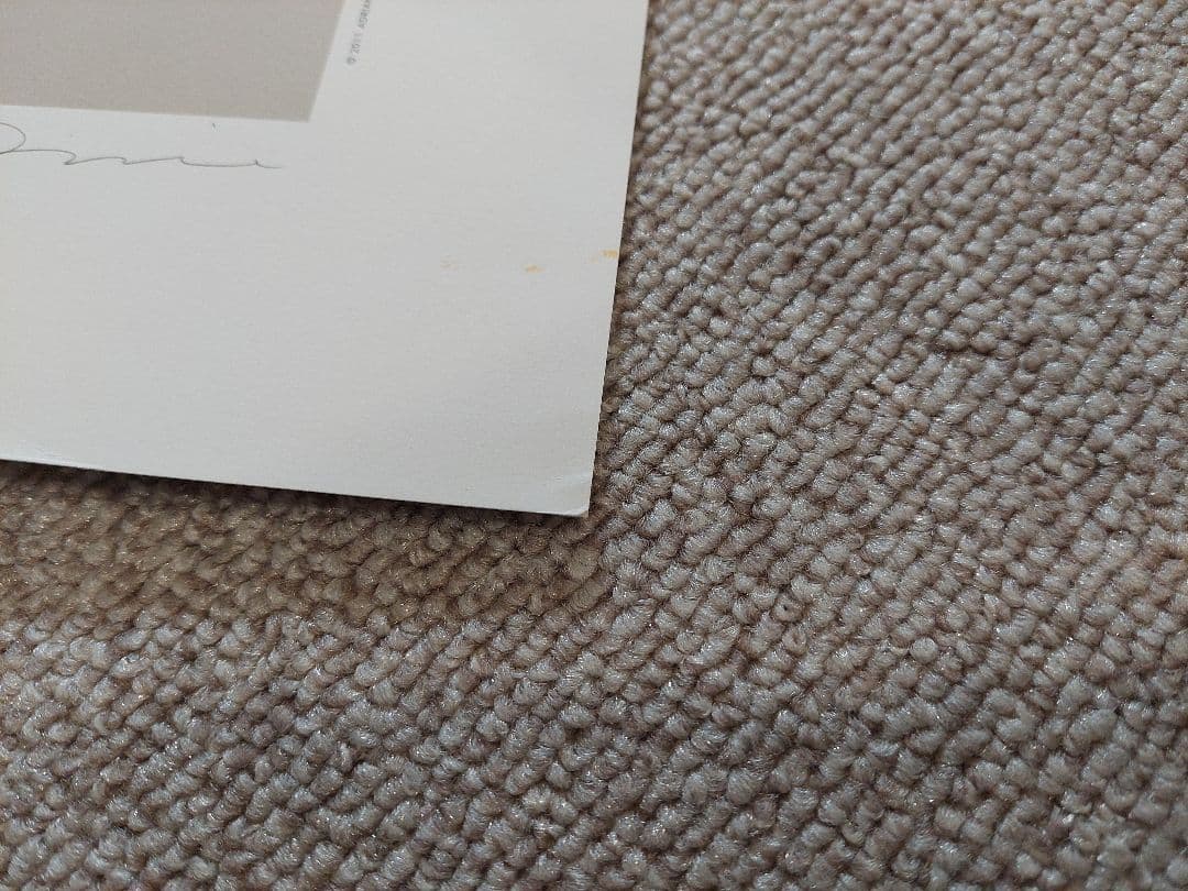 Adrian Tomine \"A.C.\" ポスター サイン&シリアルナンバー入り