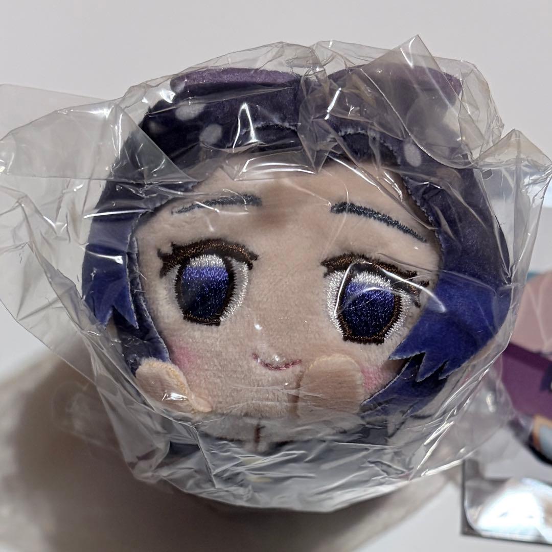 【新品／匿名配送】鬼滅の刃 胡蝶姉妹 グッズセット