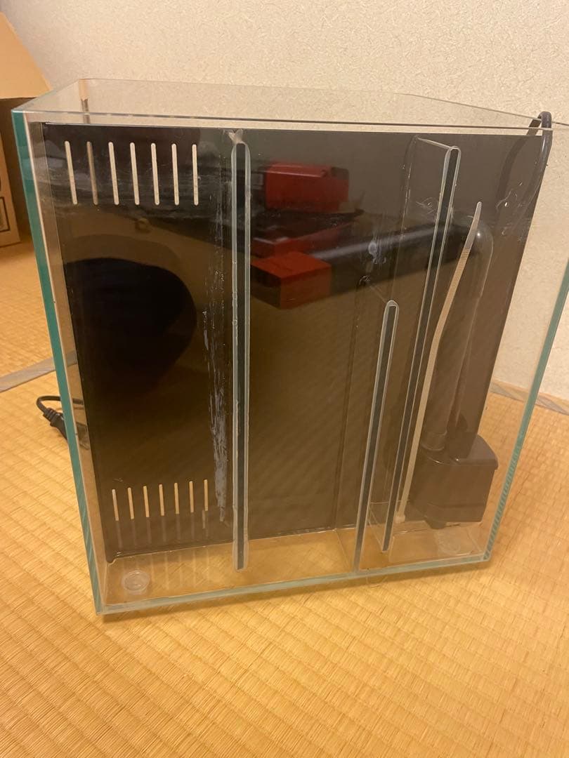 背面フローガラス水槽