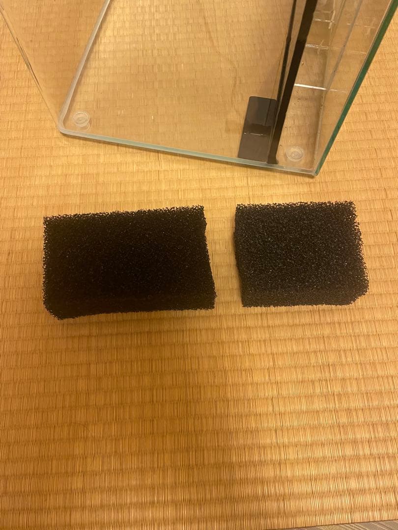 背面フローガラス水槽