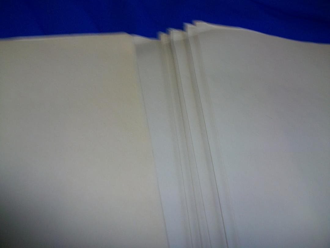 バナナフィッシュ　吉田秋生・名探偵コナン　青山剛昌・高橋留美子等　複製原画セット