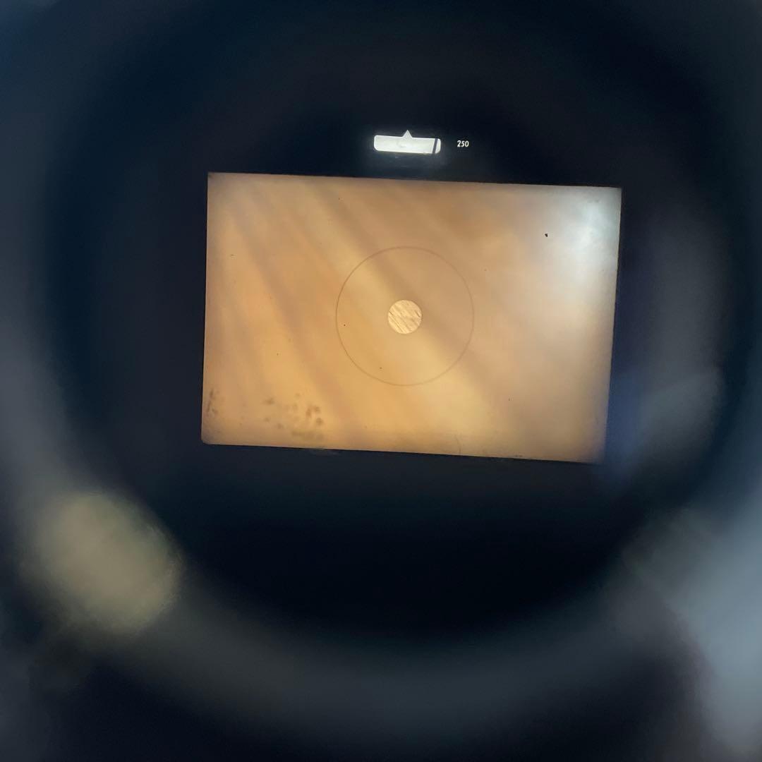 Nikon F ブラック 黒 本体のみ