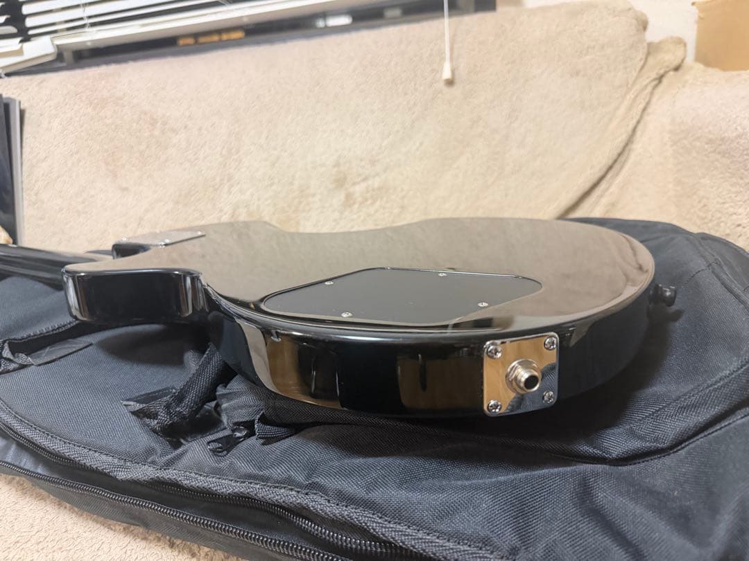 LUNA SEA inoranモデル改造品　ルナシー　イノラン