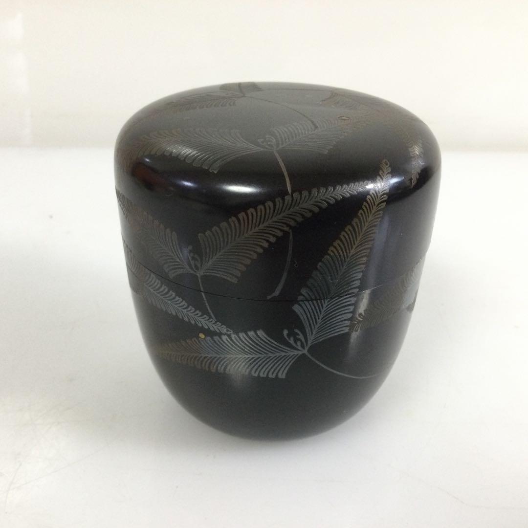 羊歯葉蒔絵棗 木製真塗 銘無し 茶道具 シダ植物 T707