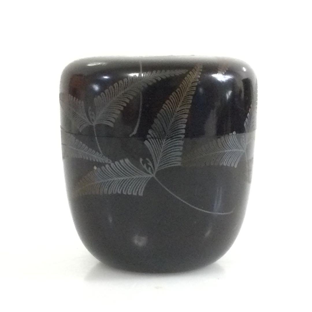 羊歯葉蒔絵棗 木製真塗 銘無し 茶道具 シダ植物 T707