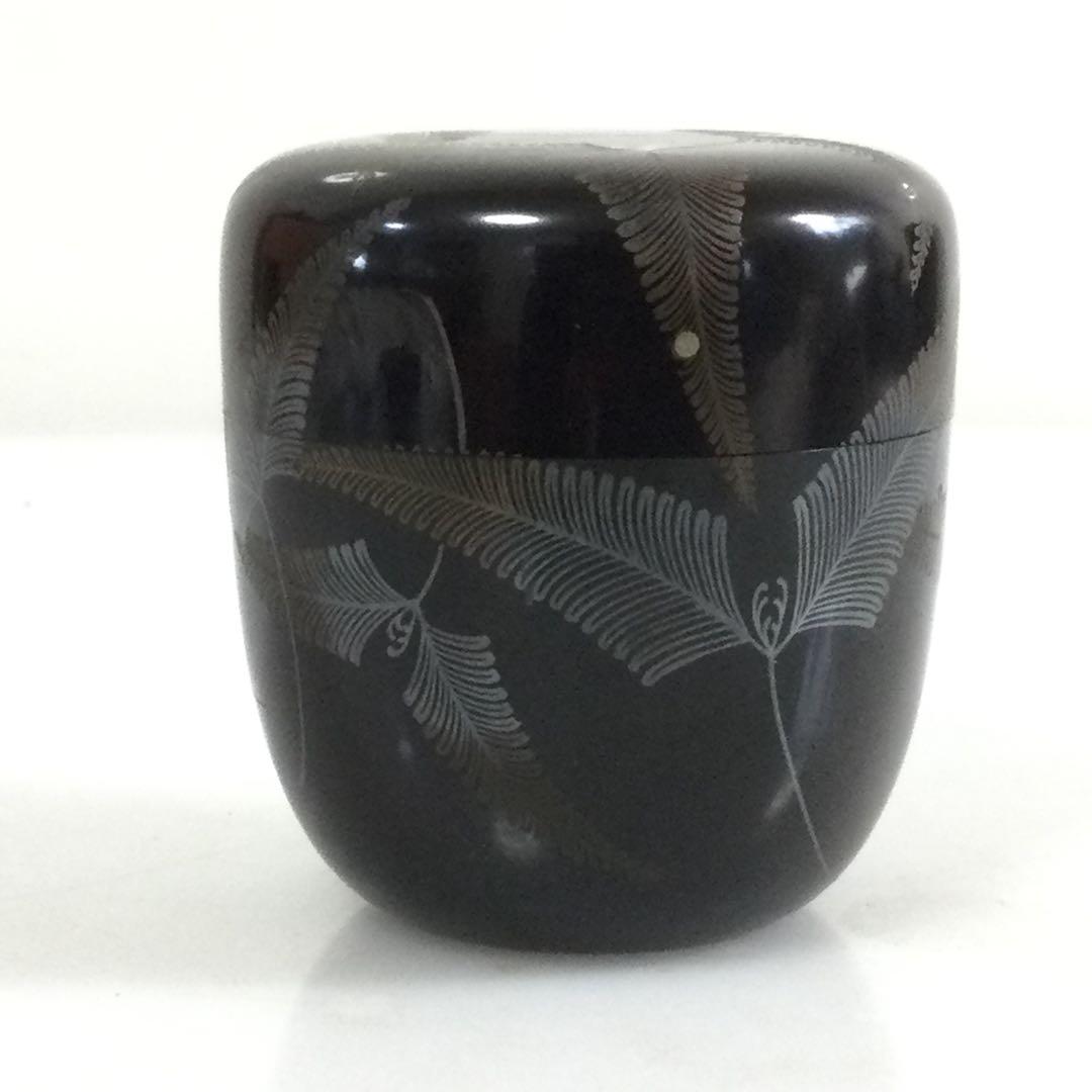 羊歯葉蒔絵棗 木製真塗 銘無し 茶道具 シダ植物 T707