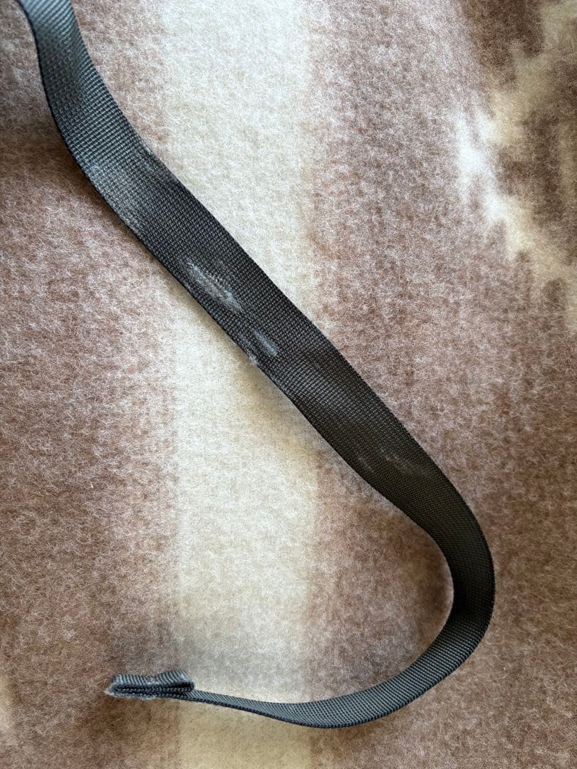 希少 patagonia パタゴニア 2way キャリーバッグ　バックパック