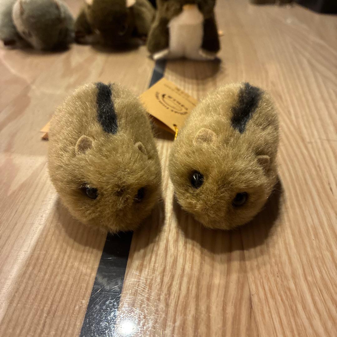 やまね工房　ぬいぐるみセット　おまけナキウサギ付