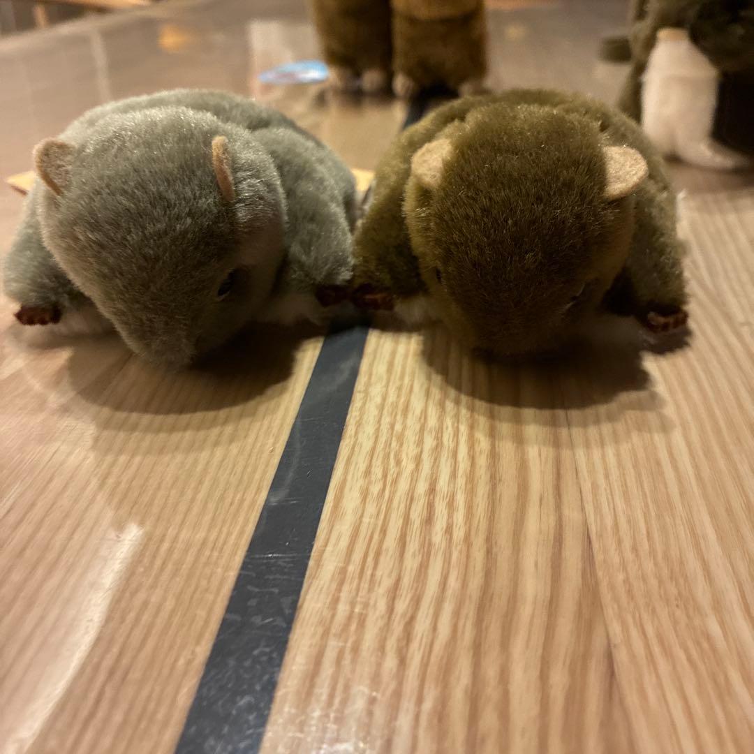 やまね工房　ぬいぐるみセット　おまけナキウサギ付