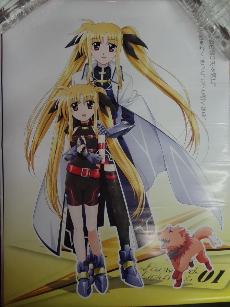 魔法少女リリカルなのは 　  販促非売品ポスター１０本セット