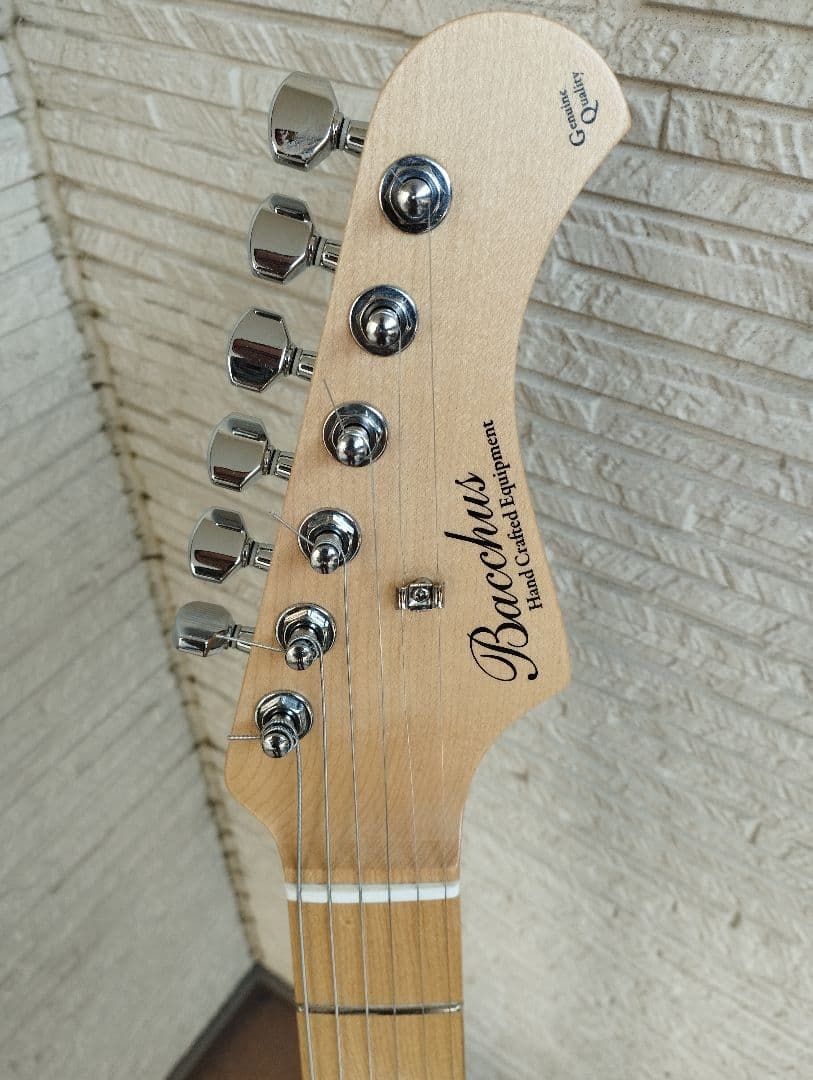 Bacchus ストラト グローバルシリーズ ash 濃紺 アッシュ