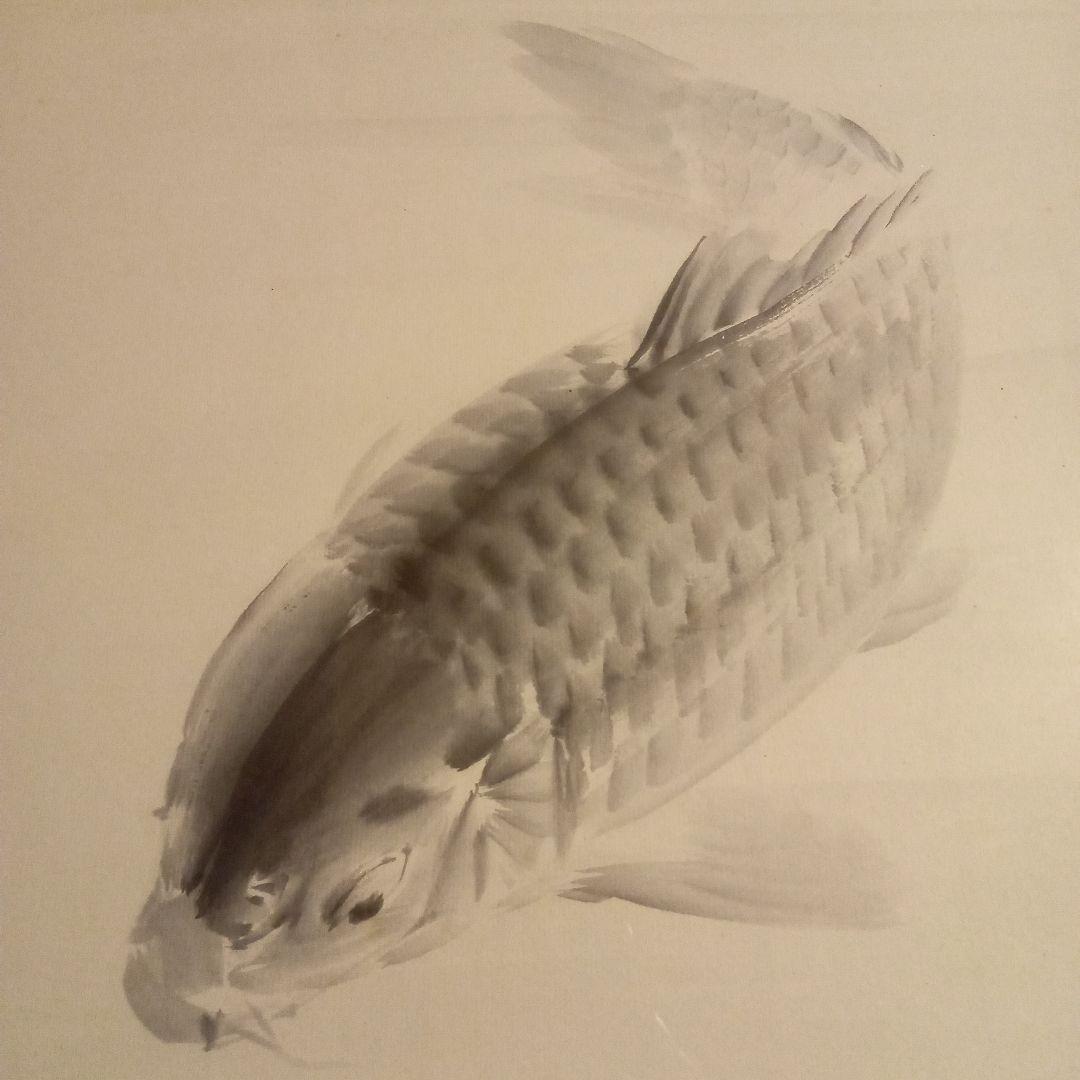 【真作】 名品 ( 鯉の光達 ) 森田光達 ( 遊鯉 ・ 箱付属 )