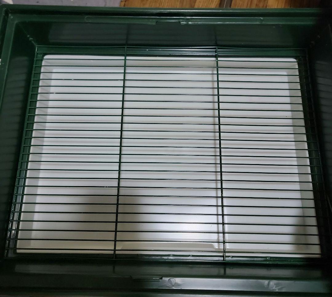 【新古品】希少 バードゲージ 鳥かご 家型L 緑 ディスワン株式会社