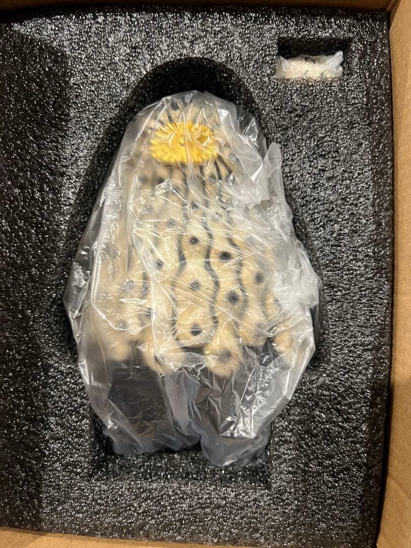 COPIAPOA MONSTER 黒王丸菊紋 日本限定版ver 羅本製所