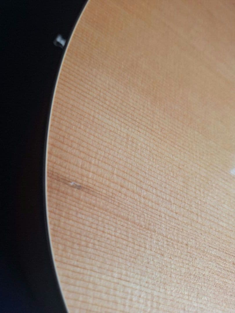 Seagull SM6 Spruce シーガル made in 