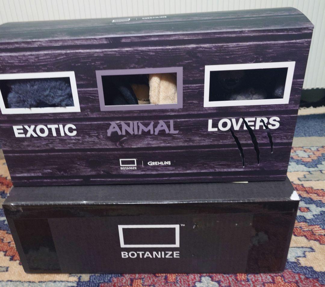 グレムリン　ギズモ　GREMLiNS × BOTANIZE