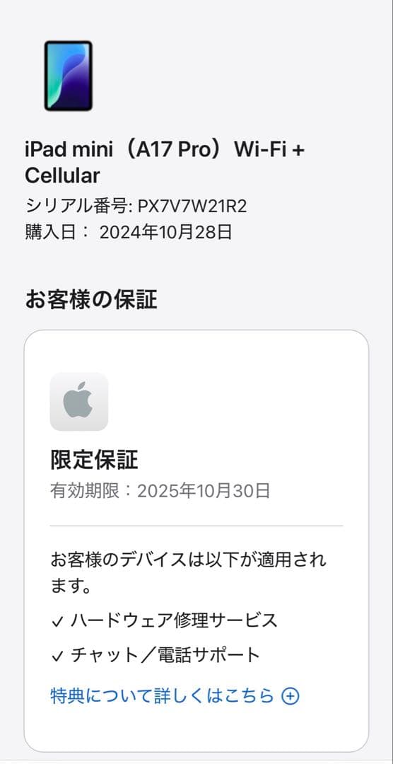 iPad mini (A17 Pro) 512GB 第7世代 セルラー