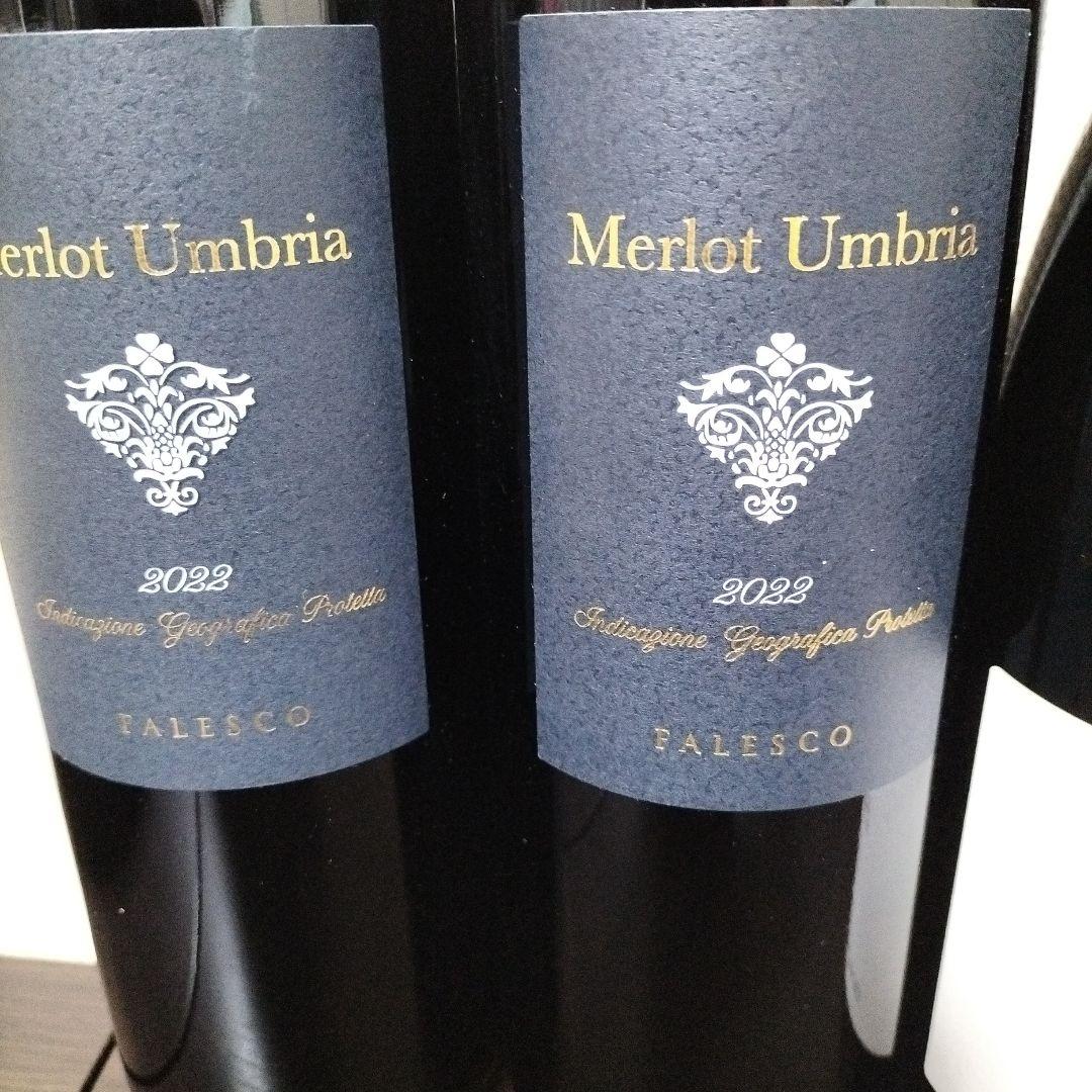 【うめたい】　赤ワイン5本セット