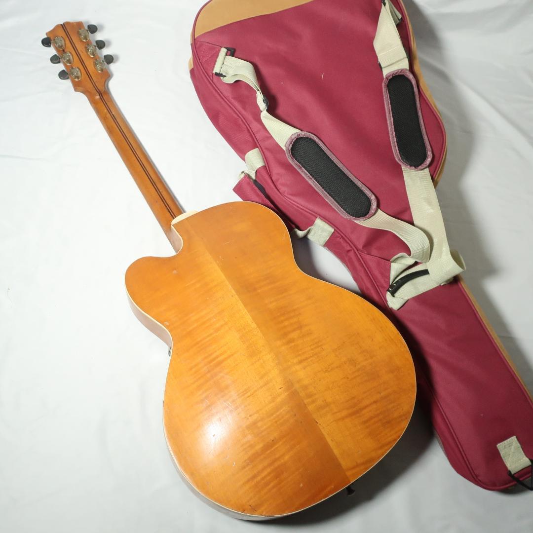 Nardan ナルダン ピックギター ケース付 弦交換済