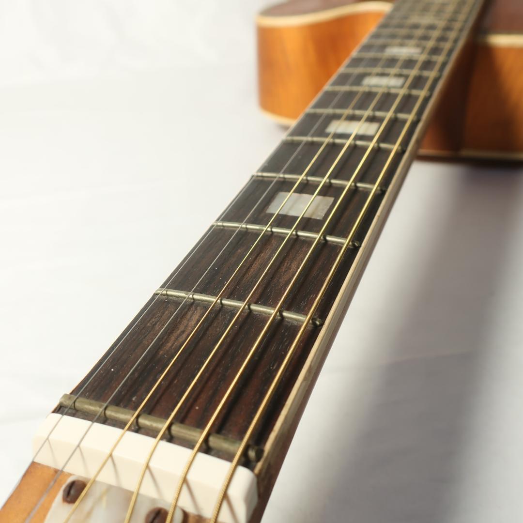 Nardan ナルダン ピックギター ケース付 弦交換済