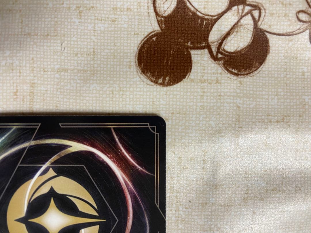 ロビン・フッド エンチャンテッド　ロルカナ