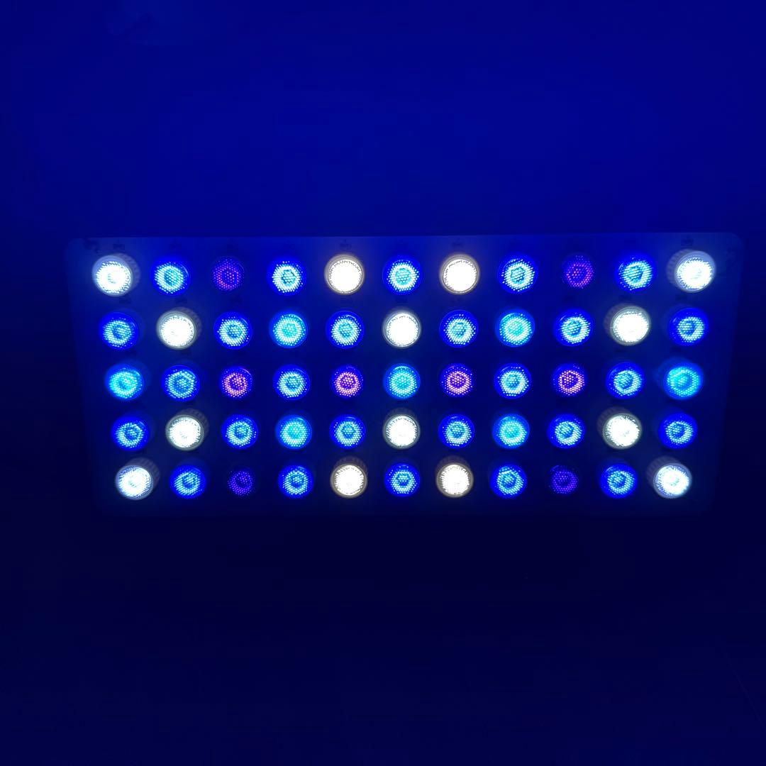 ブラックボックス　ニッソータイマーのセット