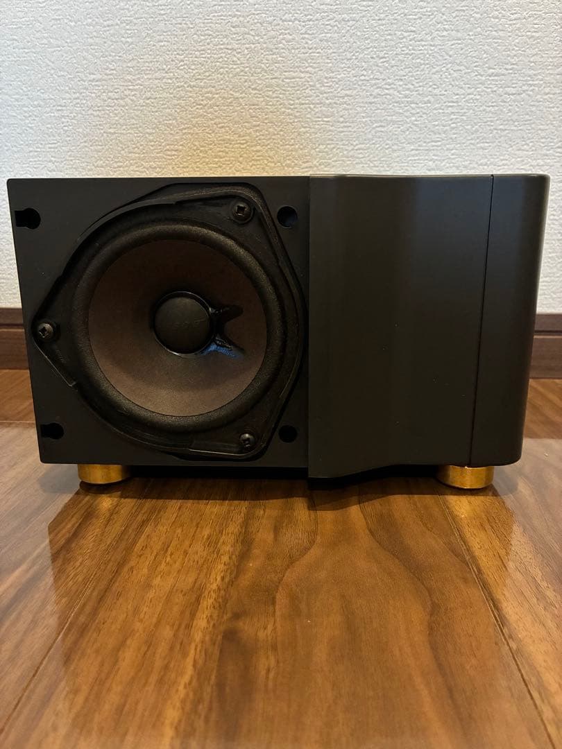 BOSE 101 イタリアーノ