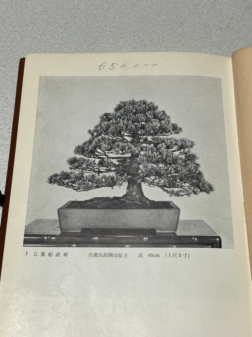 記念帖　盆栽　盆栽鉢　水石
