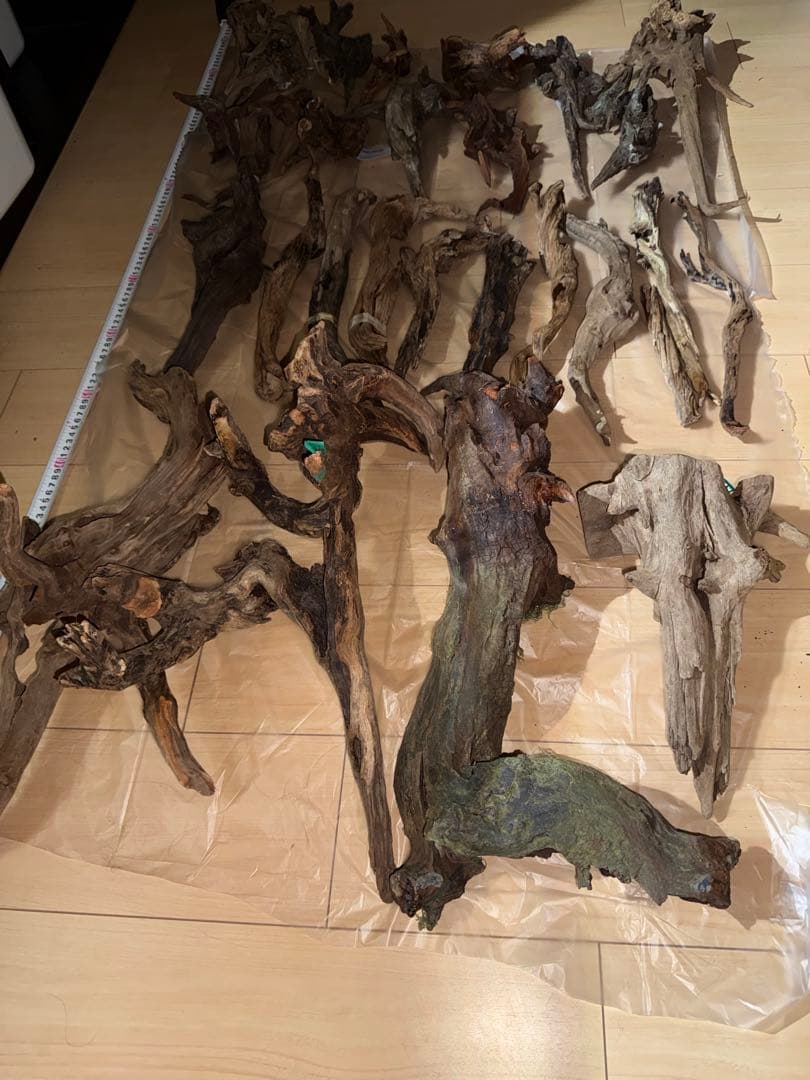 水槽用流木 複数セット