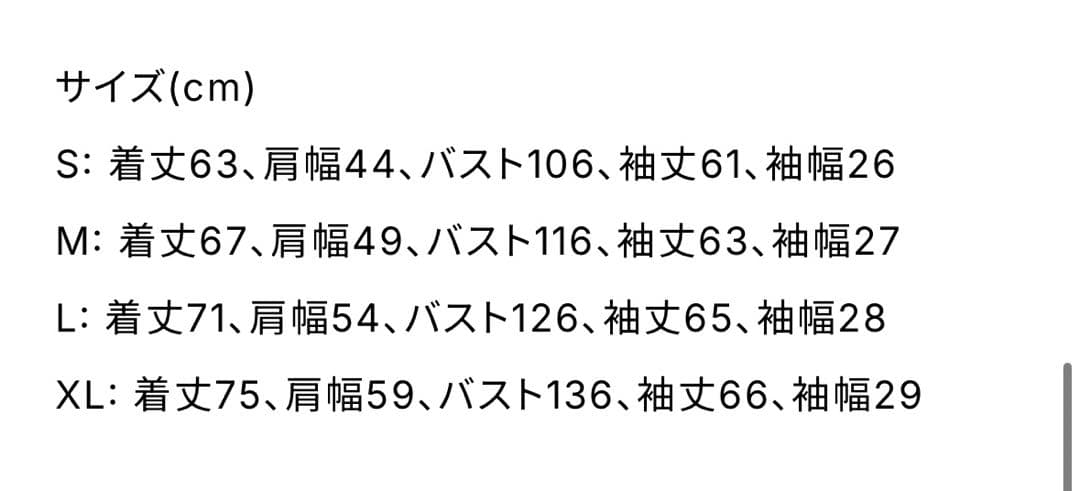 BOTT × verdy パーカー