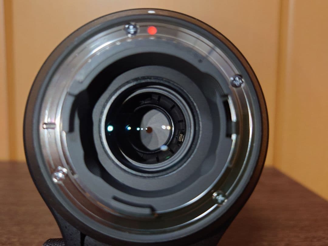 Sigma 150-600mm contemporary ニコンFマウント