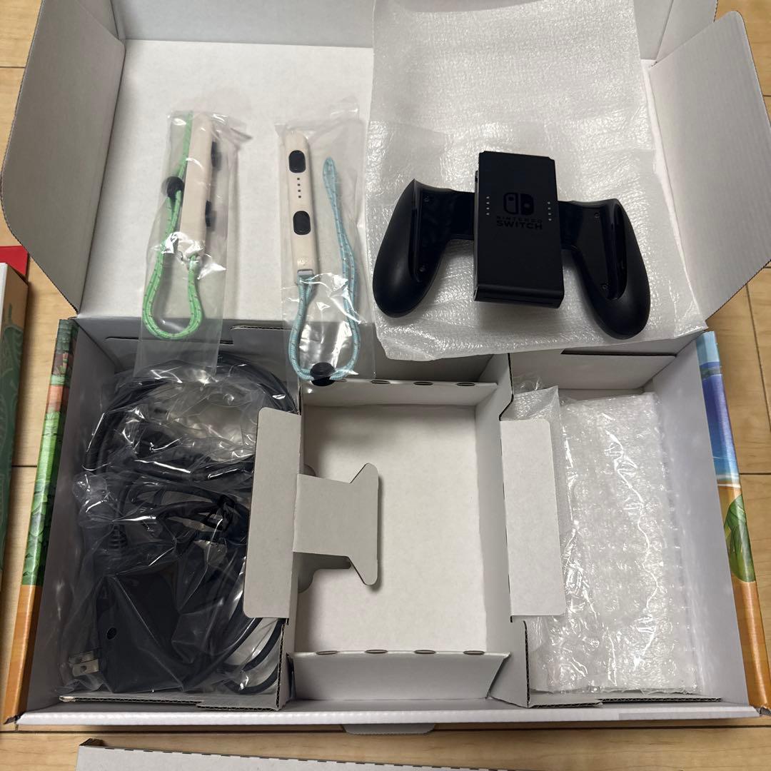 Nintendo Switch 本体　あつまれどうぶつの森　SDカード　ケース付