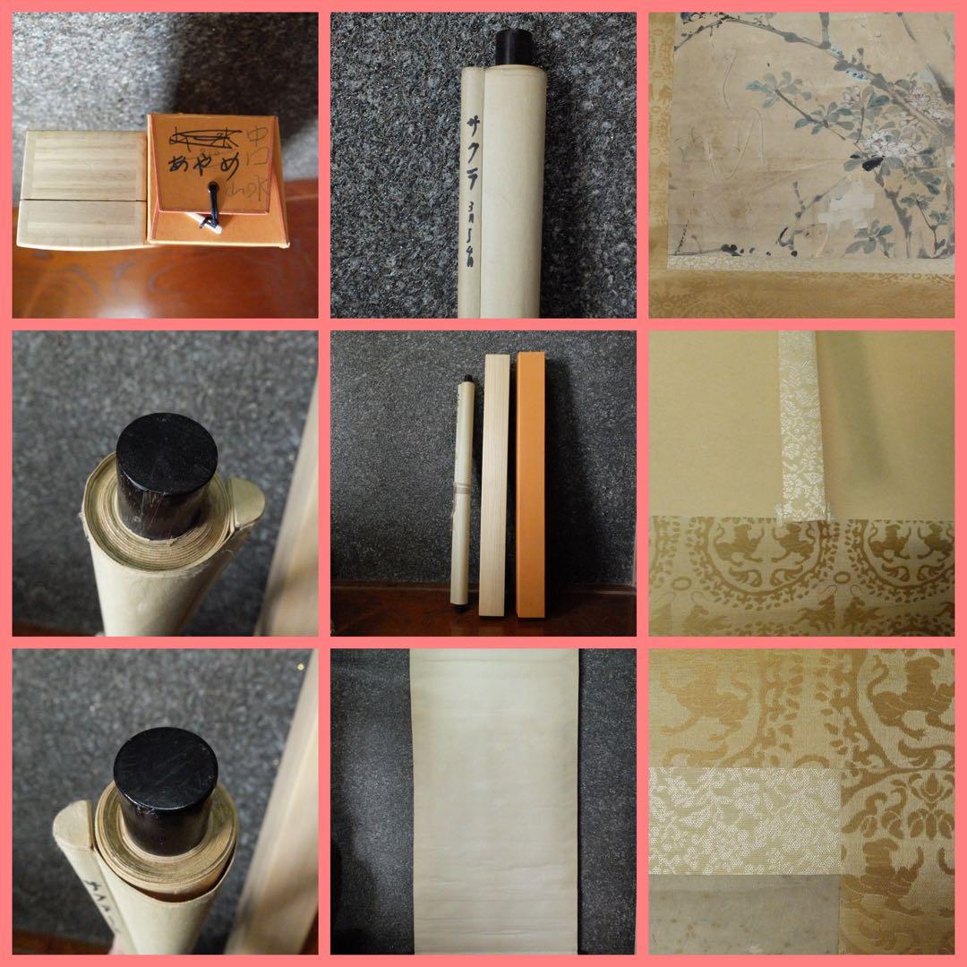 2077様感謝‼️風かほる‼️肉筆　掛け軸　「桜にすずめ」吉田公均　作　春彼岸