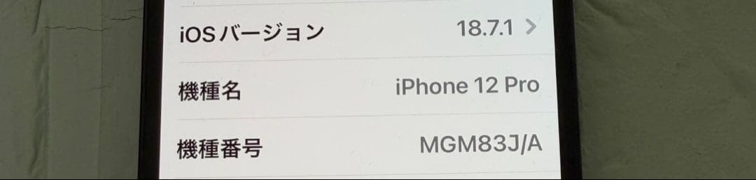 Apple iPhone 12 Pro (パシフィックブルー)