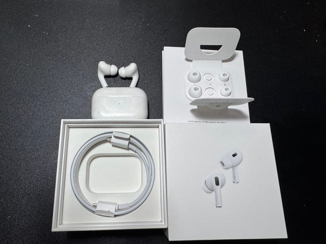 Apple AirPods2本体