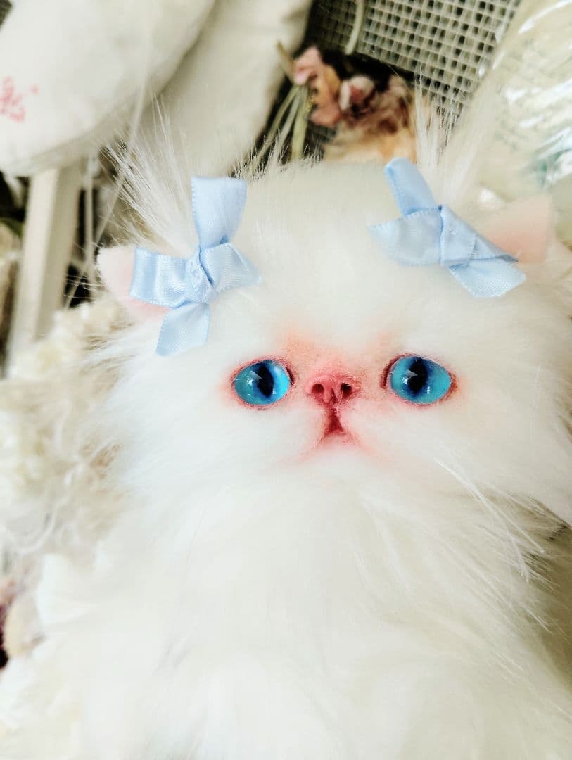 可愛いマフィンちゃん♡エキゾチックロングヘア子猫♡アートドール♡ぬいぐるみ♡