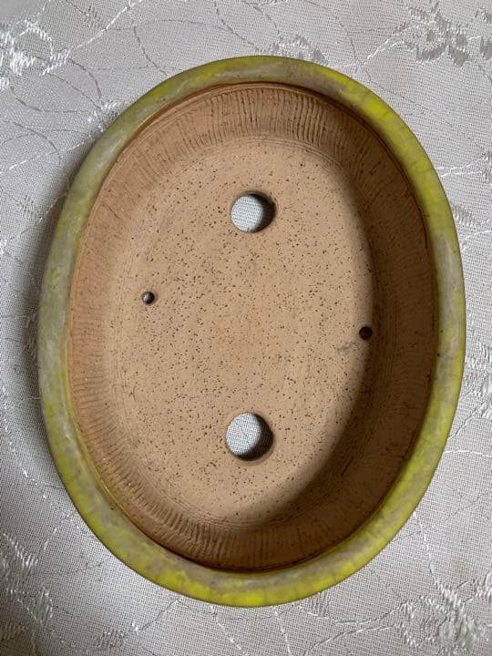 美芸　楕円　黄　盆栽鉢