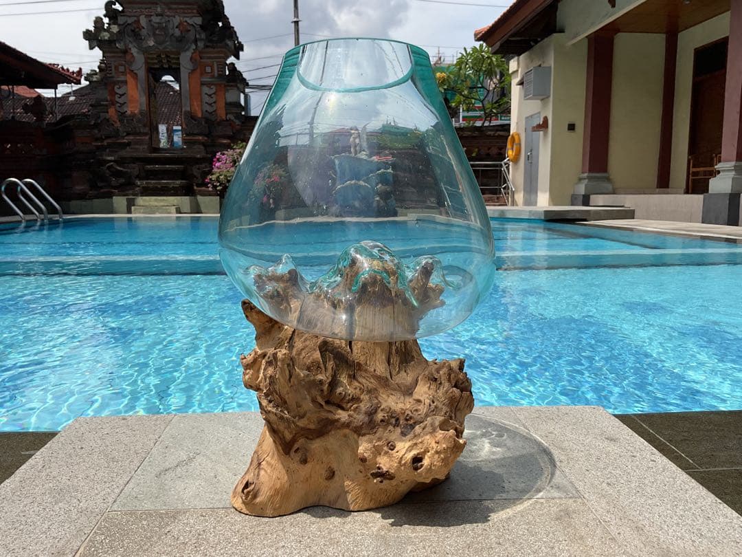 【新入荷】フィッシュボール(流木ガラス水槽)L size