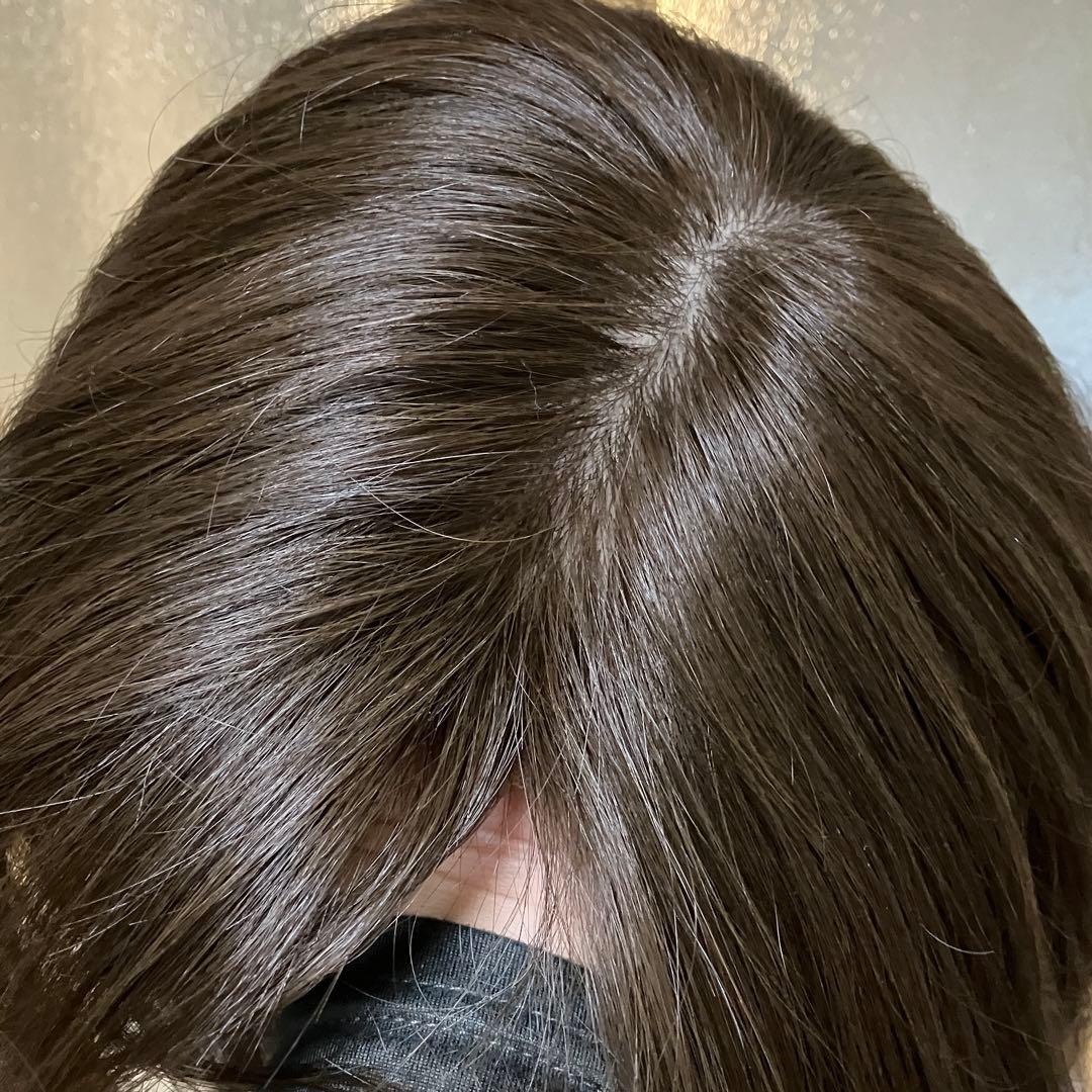 3Dウィッグ 百合子ウィッグレミー人毛100% サイズＬ