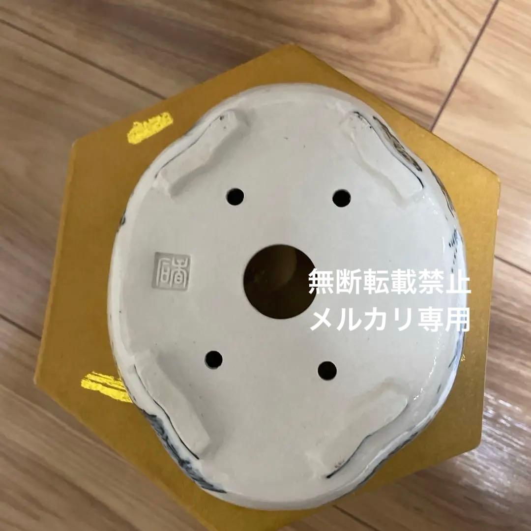 ミニ盆栽鉢　桑津香石　絵鉢　山野草　小品盆栽