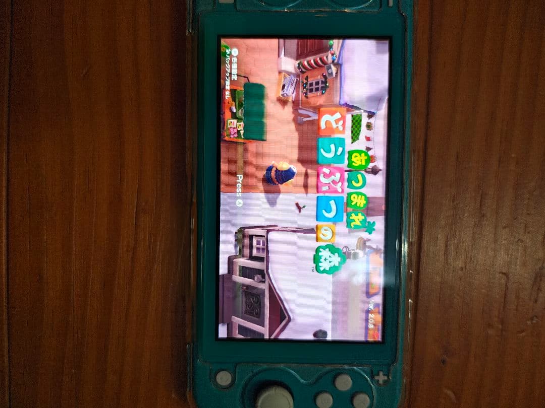 Nintendo Switch Lite アクアブルー 　ジャンク品　ケース付き