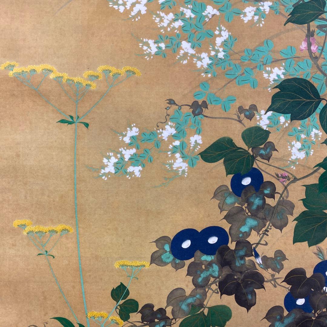 美品 掛け軸 酒井抱一筆「七草図」印刷 解説付き おもてなし