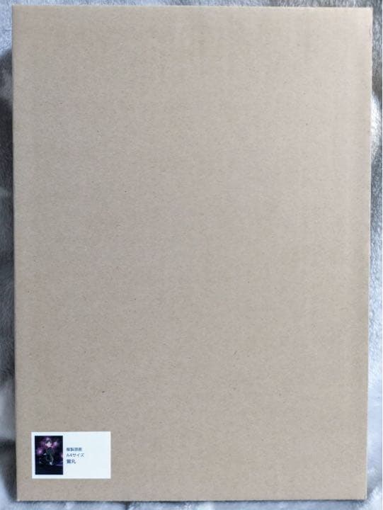 刀剣乱舞 灯結び展 描きおろしイラスト 鶯丸 複製原画 受注生産限定