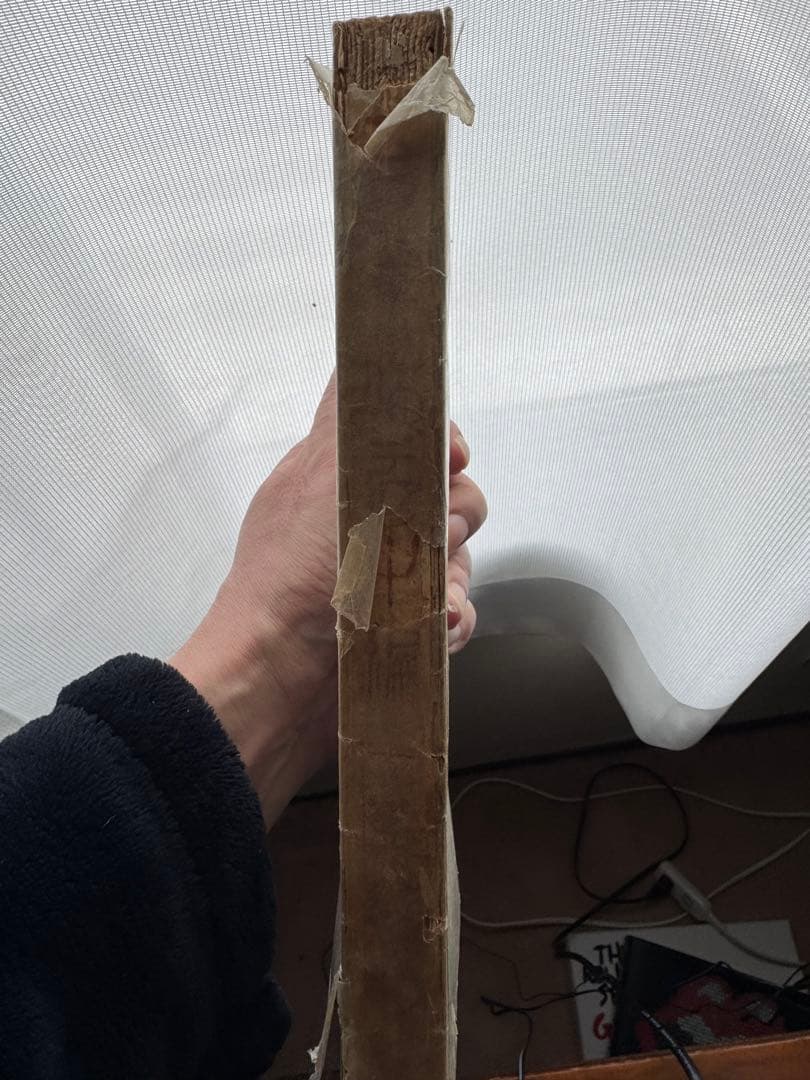 吾輩ハ猫デアル 中編 八版 夏目漱石